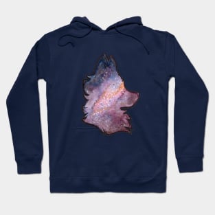 Galaxy Fox Hoodie